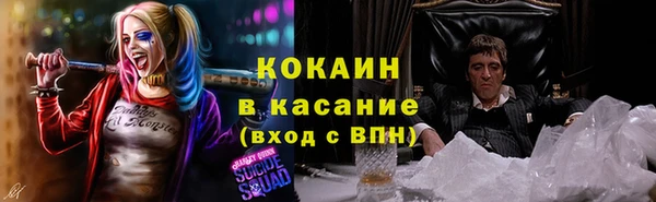 мяу мяу мука Баксан