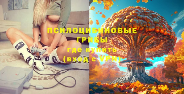 мет Балахна